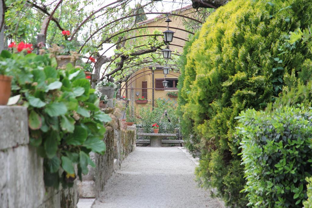 Residenza Dei Ricci Bed & Breakfast Chiusi Bagian luar foto